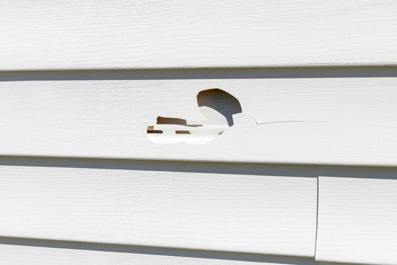 Vinyl Siding Repair - Image 11